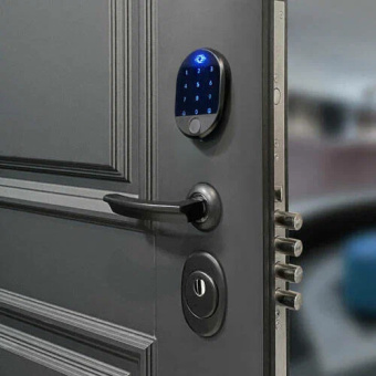 Биометрическая кодовая панель для замка Desi фото в интернет-магазине ДорогиеЗамки.рф